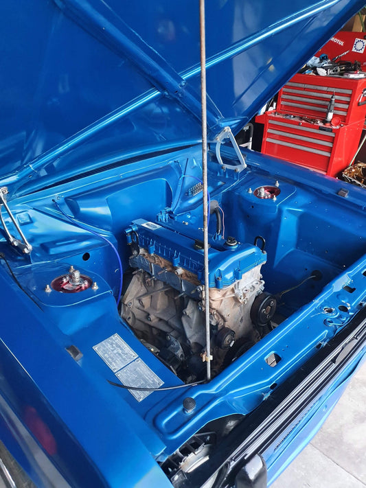 SHANNON CLELLAND MK2 ESCORT UPDATE AND NEW PROJECT! 😃