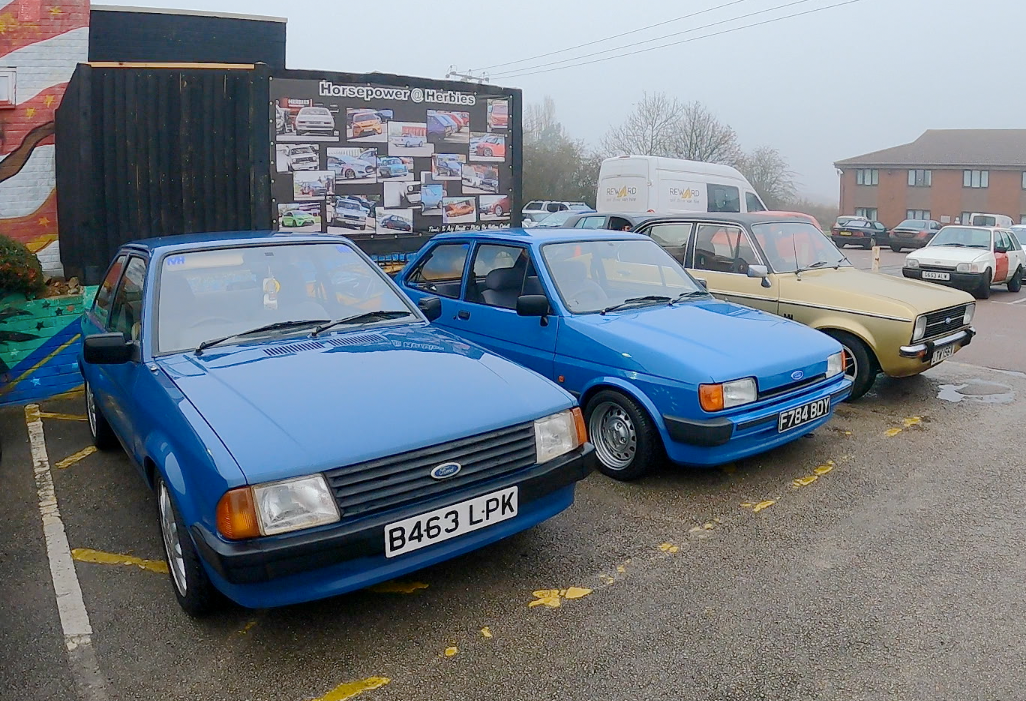 HORSEPOWER AT HERBIES WAS AMAZING! 😃