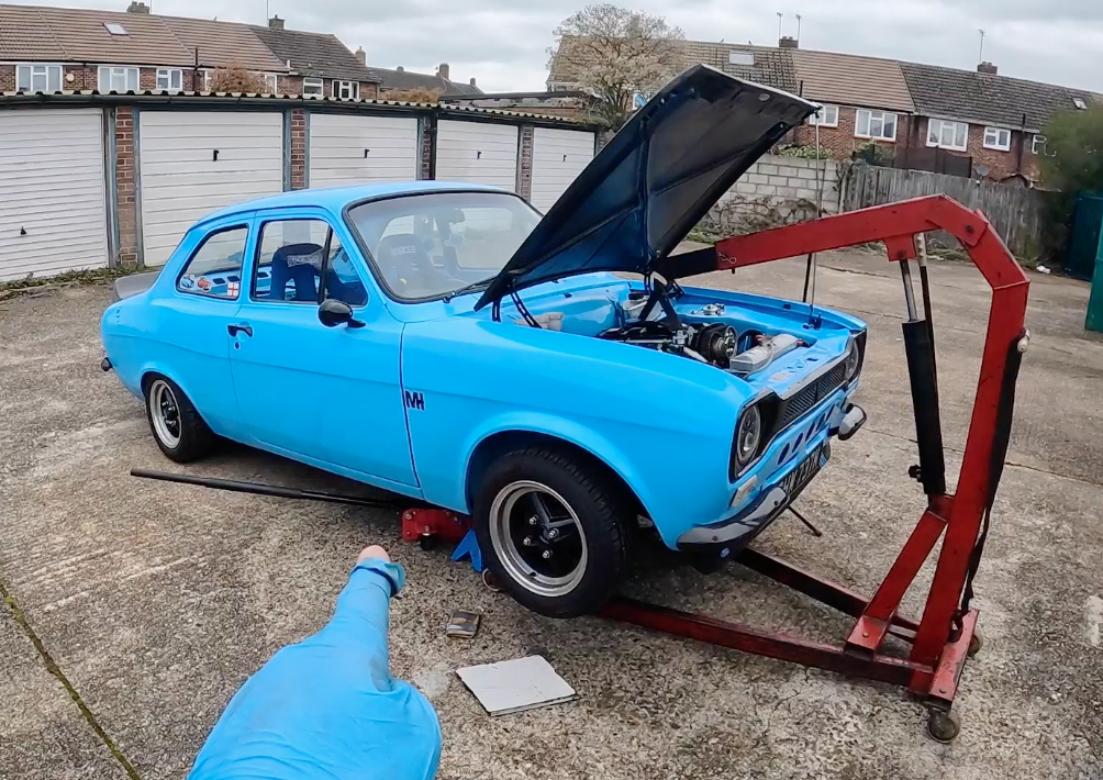 'ESTHER' IS BACK ON THE CHANNEL!! 😃 . . . BUT THERE WAS A PROBLEM! 🙁