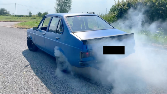 MAUDE IS BACK!!! 😃