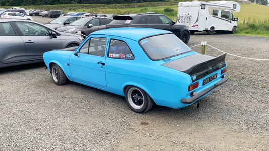 WALKING WITH GIANTS! 👍