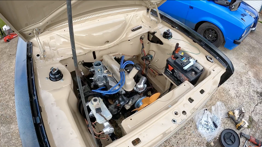 'HEIDI'S FIRST SIGN'S OF LIFE! 👍